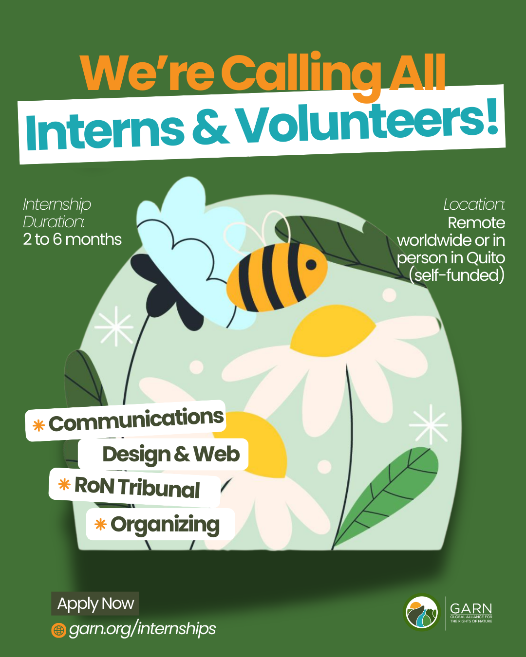 Illustration of bee and flowers in a jar with text listing GARN internship areas